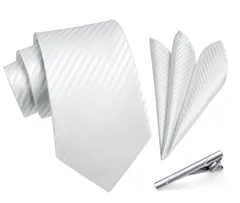 [HISDERN] A3-01 結婚式 シルバー ネクタイ チーフ タイクリップ 3点セット 幅8.5cm メンズ ブランド ギフト ボックス付き 冠婚葬祭 婚礼用 礼服用 紳士用 新郎 12柄