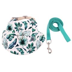 MINORITY DESIGN 360度見渡せるアクリル ケージ 大 小動物 Amazon | MINORITY DESIGN フクロモモンガ 360度見渡せるアクリル