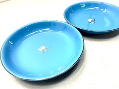 金彩 橘吉 カレー皿 2点セット 21cm ターコイズブルー たちきち MICROWAVE PROOF A9994A06