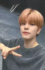 【中古】コレクションカード(男性) Stray Kids/Seungmin(スンミン)/CD「Social Path (feat. LiSA) / Super Bowl -Japanese ver.-」Stray Kids 5-STAR Dome Tour 2