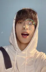 【中古】コレクションカード(男性) SEVENTEEN/DK(ドギョム)/裏面緑/CD「JAPAN 1ST EP DREAM」(CARAT盤)封入特典フォトカード