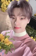 【中古】コレクションカード(男性) SEVENTEEN/DINO(ディノ)/CD「Your Choice」(ONE SIDE Ver.)封入特典フォトカード