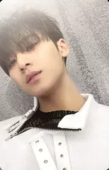 【中古】コレクションカード(男性) SEVENTEEN/MINGYU(ミンギュ)/裏面グレー/CD「Face the Sun」(ep.2 Shadow)封入特典フォトカード