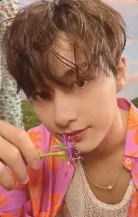 【中古】コレクションカード(男性) SEVENTEEN/JUN(ジュン)/裏面黄・ピンク/CD「SECTOR 17」(NEW BEGINNING Ver.)封入特典フォトカード