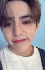 【中古】コレクションカード(男性) SEVENTEEN/S.COUPS(エスクプス)/裏面緑/CD「JAPAN 1ST EP DREAM」(CARAT盤)封入特典フォトカード