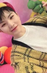 【中古】コレクションカード(男性) SEVENTEEN/WOOZI(ウジ)/裏面ピンク/CD「JAPAN 1ST EP DREAM」(初回限定盤C)封入特典フォトカード