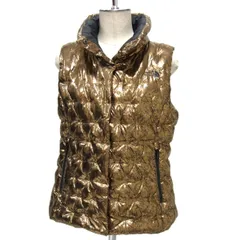 美品 レアモデル☆THE NORTH FACE ノースフェイス Holladown Crop Vest 550フィル メタリック クラックプリント レディース