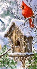 Item thumbnail for item 4720c8a2-b889-4ec4-8ac6-1b3cd6c7dced