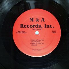 Item thumbnail for item 173864a9-3e76-4f8c-8322-a191722c1693