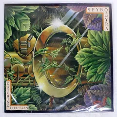 国内盤 SPYRO GYRA/CATCHING SUN/MCA LP
