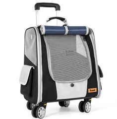 Item thumbnail for item 109902cc-754b-44f9-928e-516d5b47b589