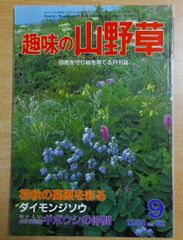 Item thumbnail for item 79ee1a82-0837-431a-9228-9b6a75f7b0ce