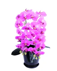 造花　胡蝶蘭11輪2本立ピンク系陶器鉢 受け皿付き 光触媒品