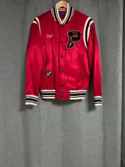 ポロ タイガー スタジャン