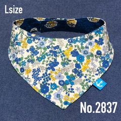 Item thumbnail for item ee3c182b-af97-4b00-b5cf-3c36d019585f