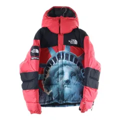SUPREME (シュプリーム) 19AW×THE NORTH FACE Statue of Liberty Baltoro Jacket ×ノースフェイス スタチューオブリバティー 自由の女神 バルトロ ダウンジャケット ND91901I