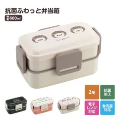 【新品】 弁当箱 600ml 2段 抗菌 レディース 電子レンジ対応 食洗機対応 お弁当箱 スリムタイプ ランチボックス 仕切り付き パッキン付き 女子 子供 中学生 高校生 女性 大人 かわいい 日本製 PFLW4AG