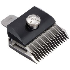 Item thumbnail for item 4f415907-c7c9-4ba0-a47f-6ee66d052494