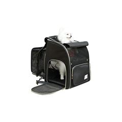 Item thumbnail for item 05ef52ec-5f97-4112-ae4d-e9e54aa22ec8