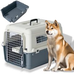 Item thumbnail for item 0411b875-d067-42ac-966d-cc9ff1c1ad77