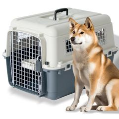 Item thumbnail for item 2b6b46cc-a4b5-4295-aaf3-3267f74f2667