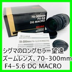 Item thumbnail for item e5561b0d-b178-4b36-9c30-a170f81df328