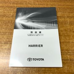 Item thumbnail for item 5da47a95-3327-4a53-b25b-616ce3d3c21c