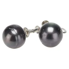 Pt900 プラチナ レディース【1-0223613】