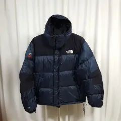 THE NORTH FACE ザノースフェイス メンズ サミットシリーズ ダックダウン 105 オススメ