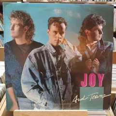 思い出の ローラースケート場 ダンス Joy And Tears LP