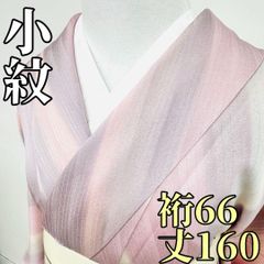 wiwi様専用です❣️ 【着物と帯 時流】SK48ys◇洗える 土日購入分