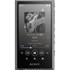 ソニー(SONY) ウォークマン 32GB A300シリーズ NW-A306 : ワイヤレスでも ハイレゾワイヤレス/ストリーミング対応/LDAC·aptX (TM) HDコーデック対応/MP3プレーヤ [グレー] [1)単品] [NW-A306(32GB)]