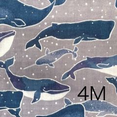 Item thumbnail for item 9d4ef536-2623-4968-a7b3-5848c232c2fe