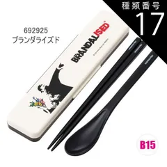 種類17：B15/692925・ブランダライズド/CCS3SAAG・コンビセット(箸18cm) 2025年最新柄【 最大20%OFF★ 】【送料無料】SKATER スケーター コンビセット 抗菌加工 日本製 音が鳴らないコンビセット 箸 スプーン セット レデ