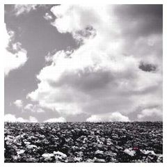 Item thumbnail for item 77540a7c-057a-4874-bb26-021c1f1a2d23