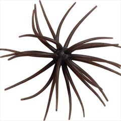 Item thumbnail for item cc928f0e-3006-4678-a5be-b215adfecd22