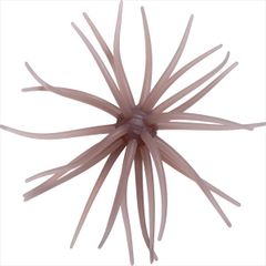 Item thumbnail for item 95159c00-66d4-49e9-9c53-441ecbbcf0c8