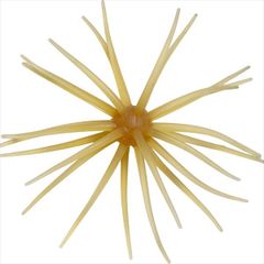 Item thumbnail for item 80e85654-21ae-4912-8194-344b194fd4a8