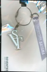 SEVENTEEN 2020JAPAN DOME TOUR 埼玉 会場別ドーム記念チャーム グレー
