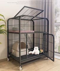 Item thumbnail for item 25219059-8ba0-45c2-82be-9d818ab9c3bc