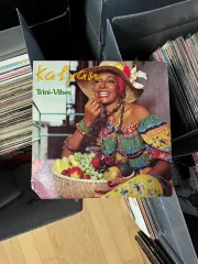 SOUL パンク レゲエ レアクラス Kalyan ー Trini Vibes LP