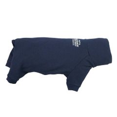 Item thumbnail for item 2da5c745-223d-4dc7-8cea-25964bb432ca