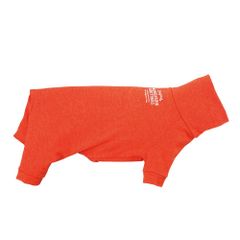 Item thumbnail for item 5e3b1d7b-347e-421e-bc59-63c76f2fd8ae