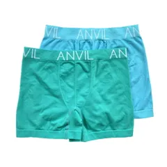 アンビル アンヴィル ANVIL 二枚組ナイロン成型ボクサーパンツ ボクサーブリーフ ANV73B2 メンズ 下着 前閉じ 2枚セット 2枚組 2P L-XL ミント-スカイ