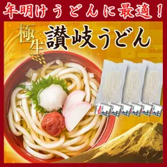 当日出荷(18時まで)  年明けうどんに！ 【本場 生麺 讃岐うどん 並切麺  750g つゆ付】 鎌田醤油のつゆ付セット 6人前 香川直送　訳あり簡易パッケージ、簡易包装　　（UB）
