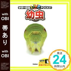 Item thumbnail for item 08c8304b-b6ed-494c-ad58-f79ef3ec055e