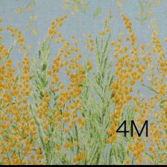 Item thumbnail for item 60c6456e-0d57-4c35-a36f-05b5baff880e