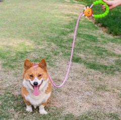 Item thumbnail for item a09f84e2-48e7-40a4-89d5-dc4ae5395edb