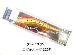 Item thumbnail for item 8c62df7e-ea01-471d-830a-f076e4dc5eaf