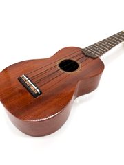 Item thumbnail for item d888c946-5cd3-468a-96dc-993adddc92ee